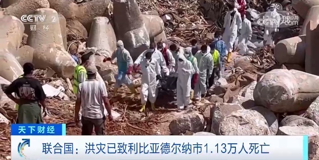 白菜导航收集